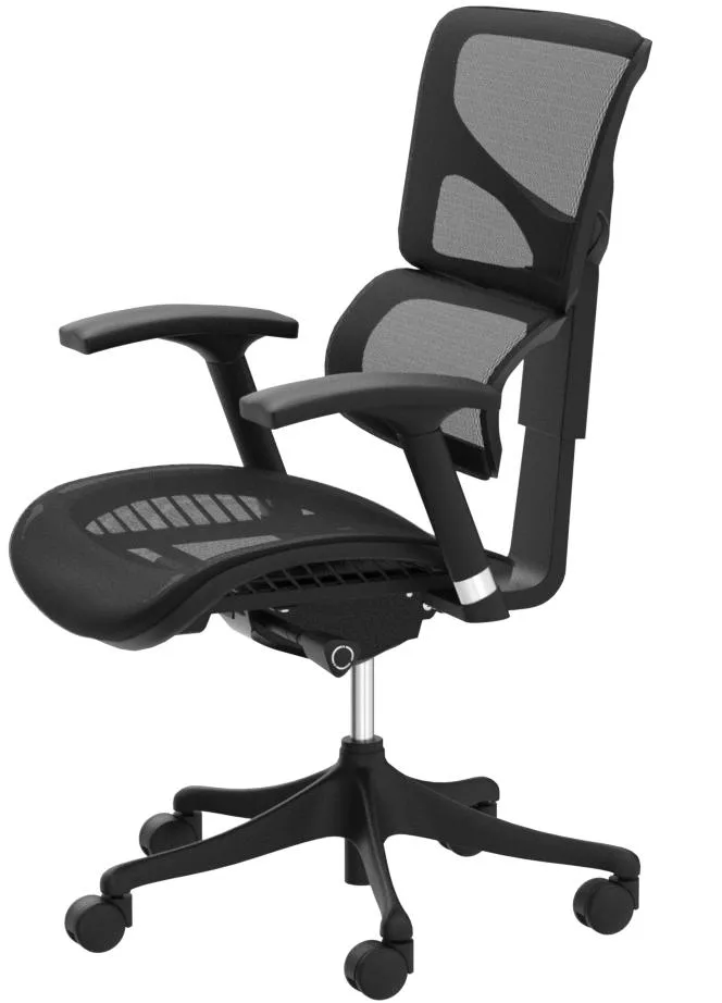  X Chair Features 