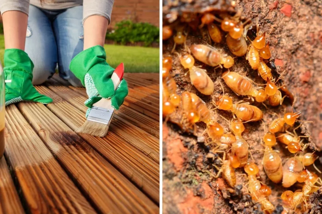 Protect Wooden Furniture from Termites